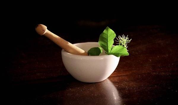 Beralih ke Herbal Meskipun Obat Modern Lebih Cepat