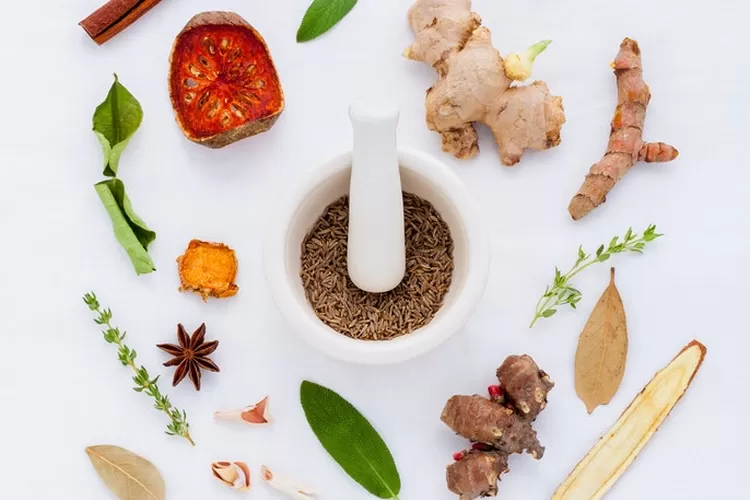 Herbal untuk Menjaga Sistem Imun
