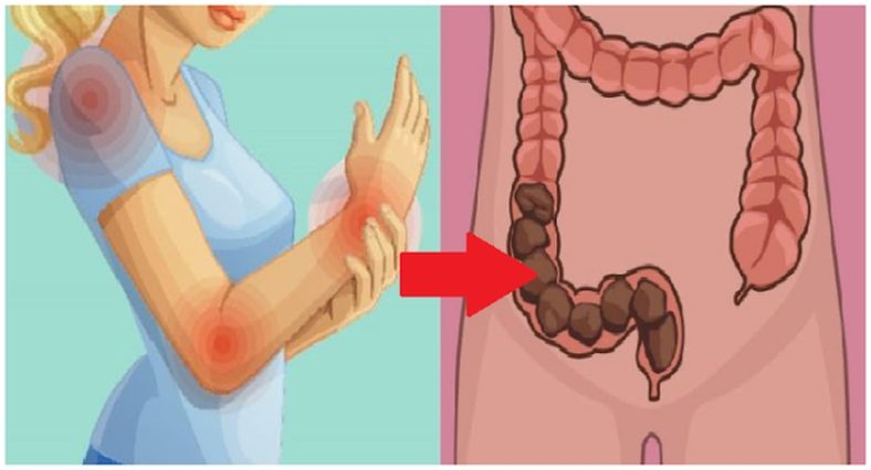 Cara Kerja Obat dalam Tubuh: Penjelasan Lengkap