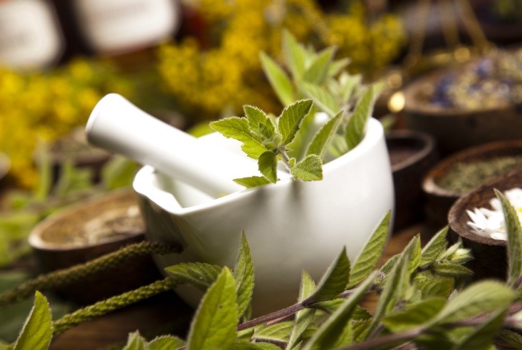 Memilih Obat dan Kapan Sebaiknya Menggunakan Herbal