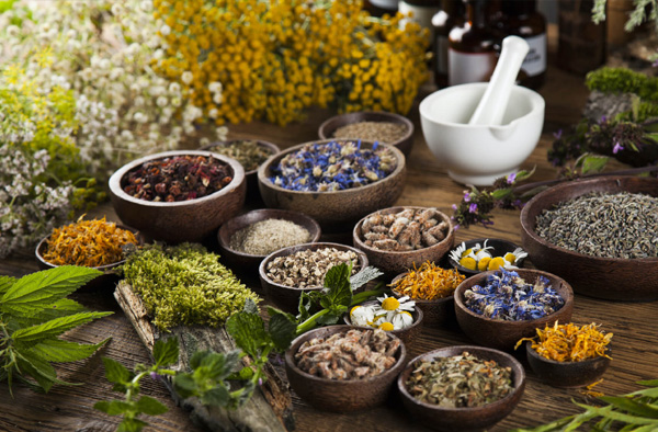 Efektivitas Obat dan Herbal
